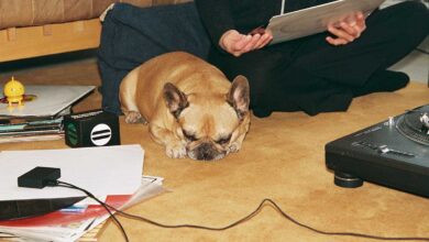 Foto © Atonemo AB | Atonemo Streamplayer