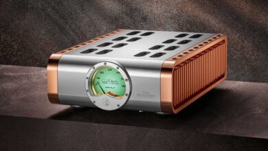 Foto © Dan D'Agostino Master Audio Systems LLC. | D’Agostino Momentum Z Monoblock Amplifier