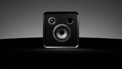 Foto © EverSolo Audio Technology Co. Ltd. | Eversolo SE100 Two-Way Passive Bookshelf HiFi Speaker