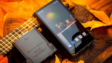 Cayin T201 – Röhrenmodul für Cayin N6iii 13 Foto © Zhuhai Spark Electronic Equipment Co. Ltd. | Cayin T201 – Röhrenmodul für Cayin N6iii